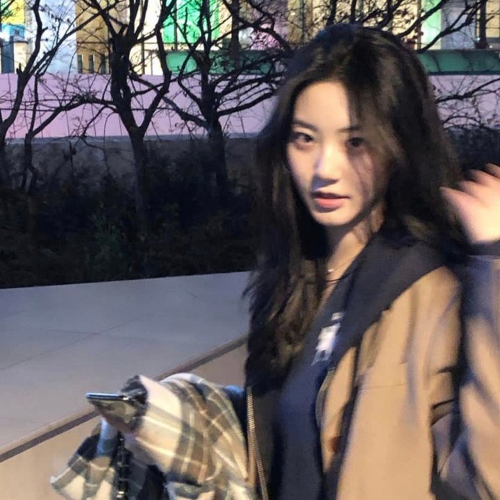 锦鲤萌宝闹京都